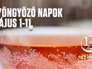 Gyöngyöző napok - Egykettő Fröccsliget megnyitó