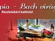 Bach Virágterápia és Fitoterápia