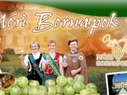 Móri Bornapok