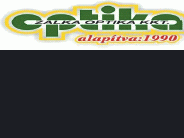 Zalka Optika Kkt.
