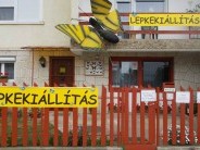 Lepkekiállítás