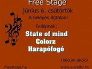 Freestage