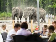 Állatkerti kirándulás a Nyíregyházi Állatparkban