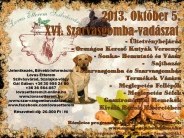 Szarvasgomba-vadászat