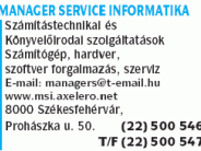 Manager Service Informatika