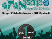 eFeN 2013