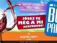Országos Bor Party