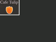 Café Tulip