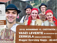 Vaszi Levente és a Zerkula Zenekar 