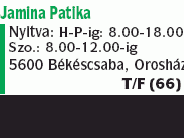 Jamina Patika