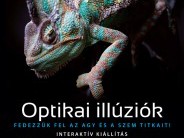 Optikai illúziók