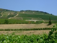 Tokaj−hegyaljai Szüreti Napok