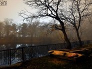 Ősz 2012 - Novemberi programok