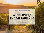 Bortúra program