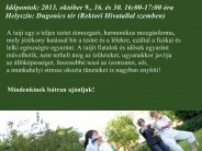 Ingyenes taiji-kurzus októberben