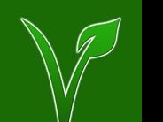 Vega Est