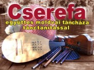 Cserefa táncház