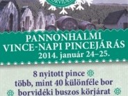Vince napi pincejárás a Pannonhalmi Borvidéken