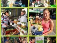Biovásár Miskolc 2018