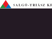 Salgó-Triász Kft.