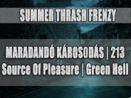 Summer Thrash Frenzy @ S8 Klub