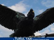 Turul Taxi