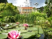 Villa Medici Hotel és Étterem Veszprém