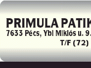 PRIMULA PATIKA