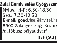 Zalai Gondviselés Patika