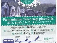 Vince napi pincejárás a Pannonhalmi Borvidéken