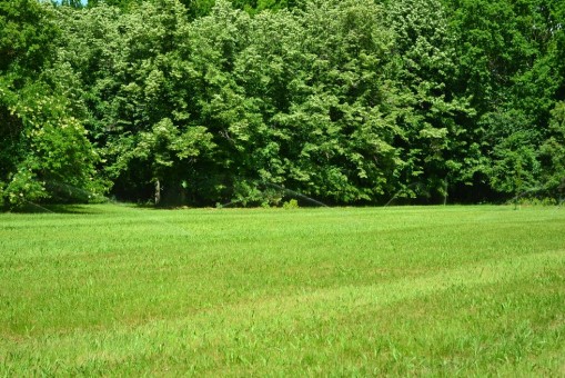   - Történelmi jelentőségű fejlesztések az ország legnagyobb arborétumában