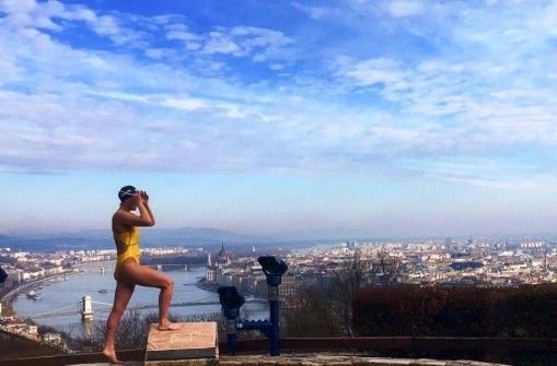   - Budapest 2017 FINA Vizes Világbajnokság 2017.július 14-30.